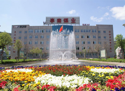 亭南煤業有限責任公司